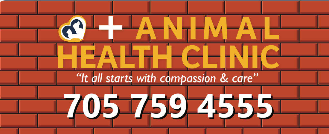 Animal Health Clinic - Sault Ste. Marie