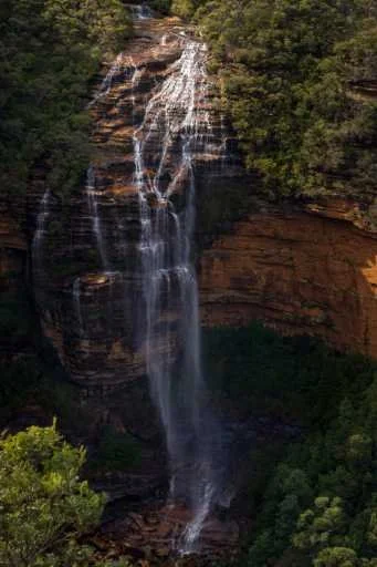 Use purchase code #142 at checkout to identify your order.