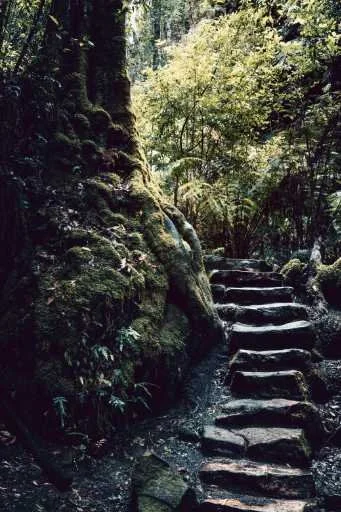 Use purchase code #144 at checkout to identify your order.