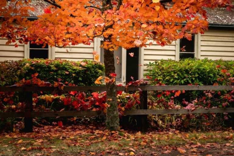 Use purchase code #E007 at checkout to identify your order