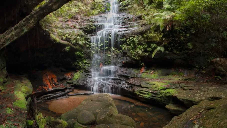 Use purchase code #010 at checkout to identify your order.