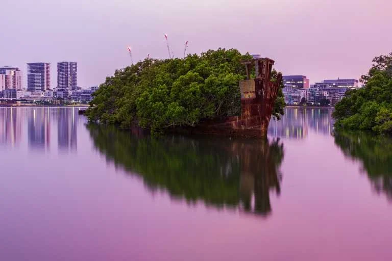 Use purchase code #C025 at checkout to identify your order