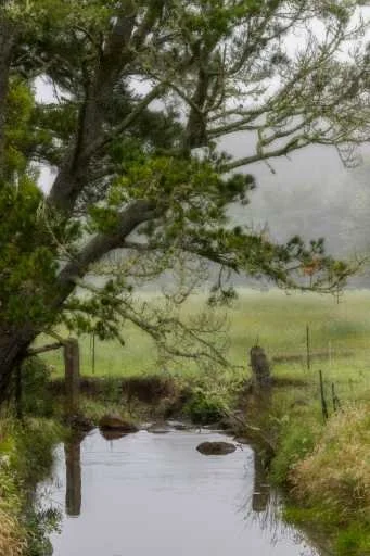 Use purchase code #B043 at checkout to identify your order