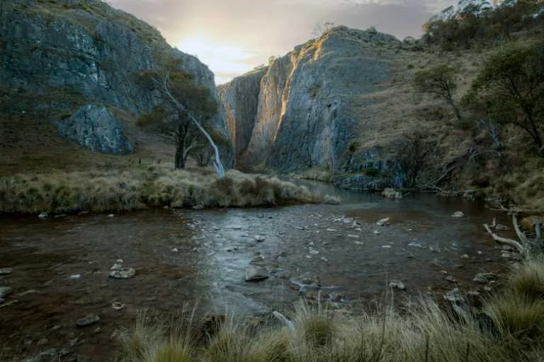 Use purchase code #077 at checkout to identify your order.