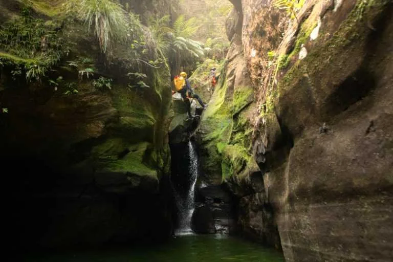 Use purchase code #125 at checkout to identify your order.