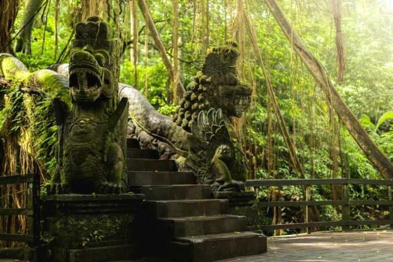 Use purchase code #F017 at checkout to identify your order