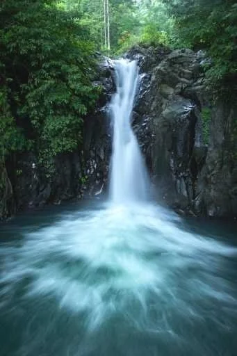 Use purchase code #F020 at checkout to identify your order