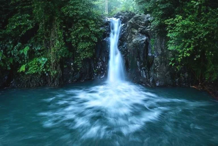 Use purchase code #F021 at checkout to identify your order