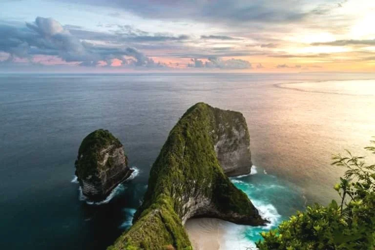 Use purchase code #F031 at checkout to identify your order