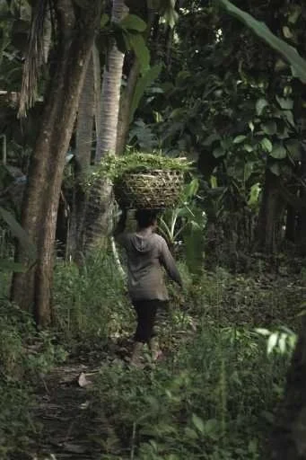 Use purchase code #F034 at checkout to identify your order