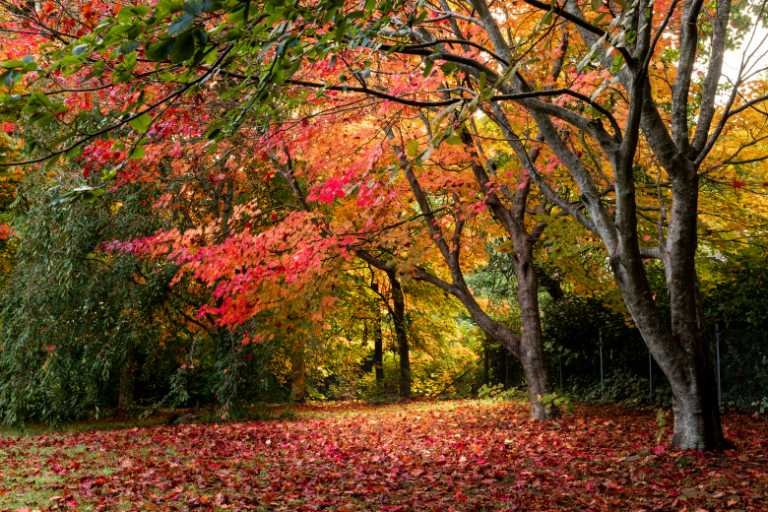 Use purchase code #E072 at checkout to identify your order