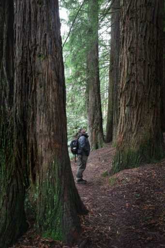 Use purchase code #058 at checkout to identify your order.