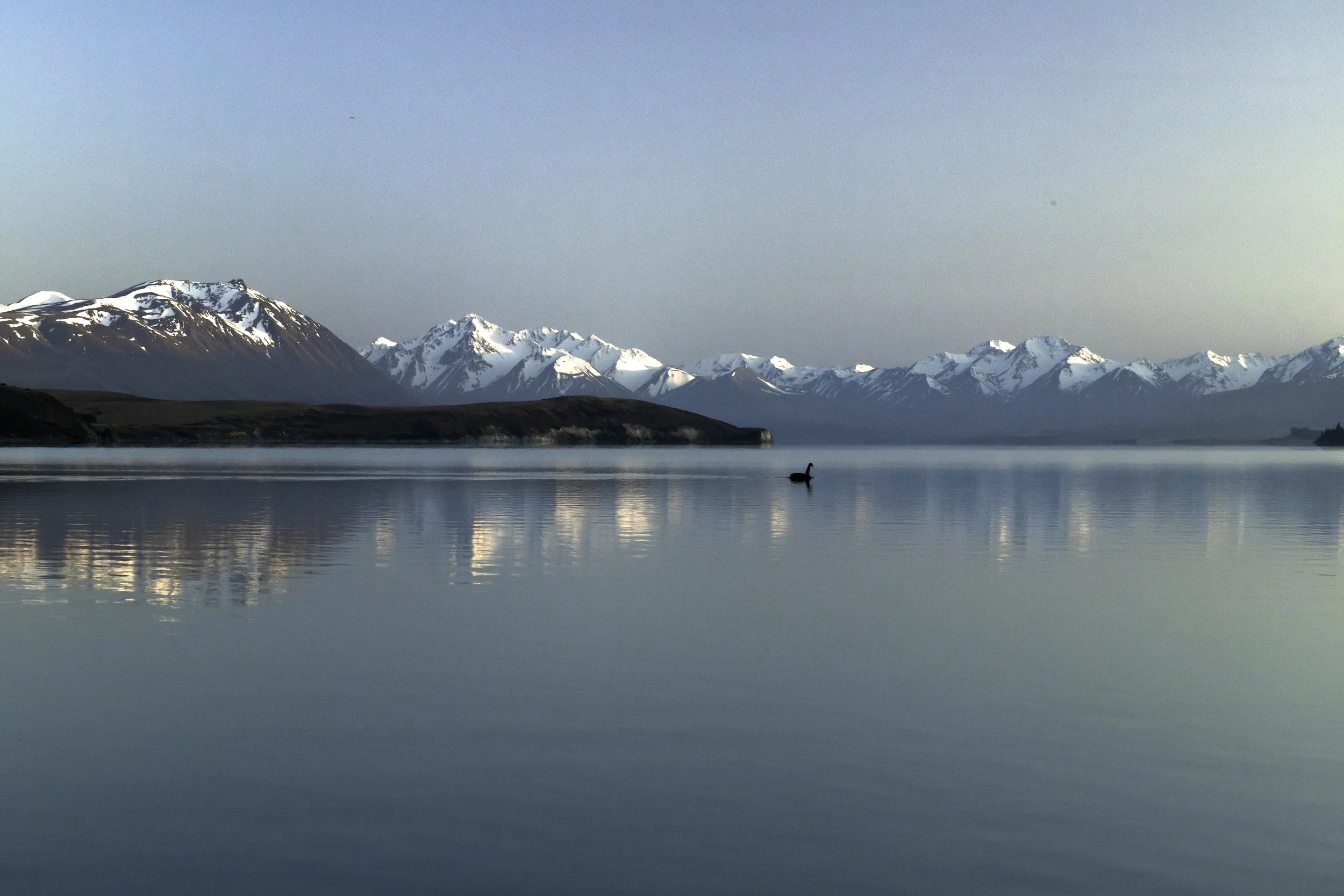 Use purchase code #D011 at checkout to identify your order