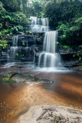 Use purchase code #089 at checkout to identify your order.