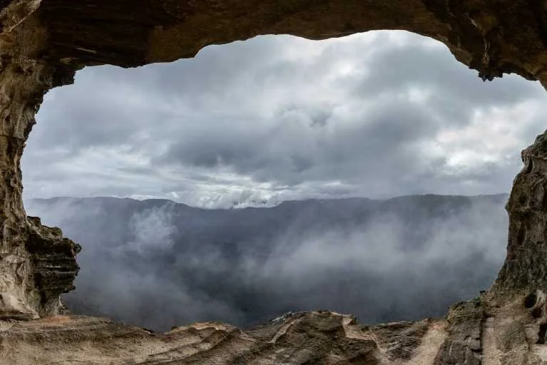 Use purchase code #039 at checkout to identify your order.