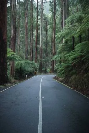 Use purchase code #064 at checkout to identify your order.