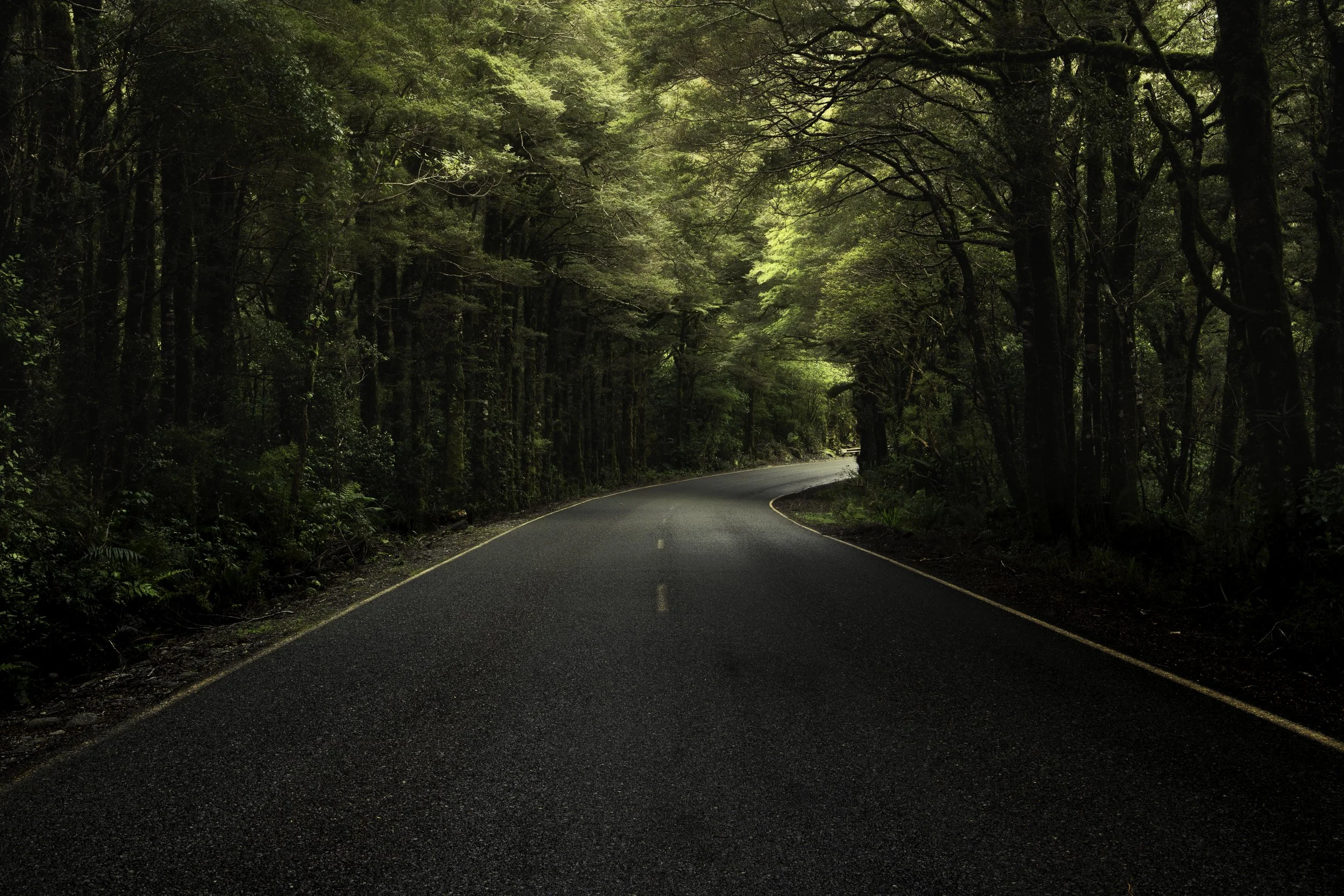 Use purchase code #D033 at checkout to identify your order