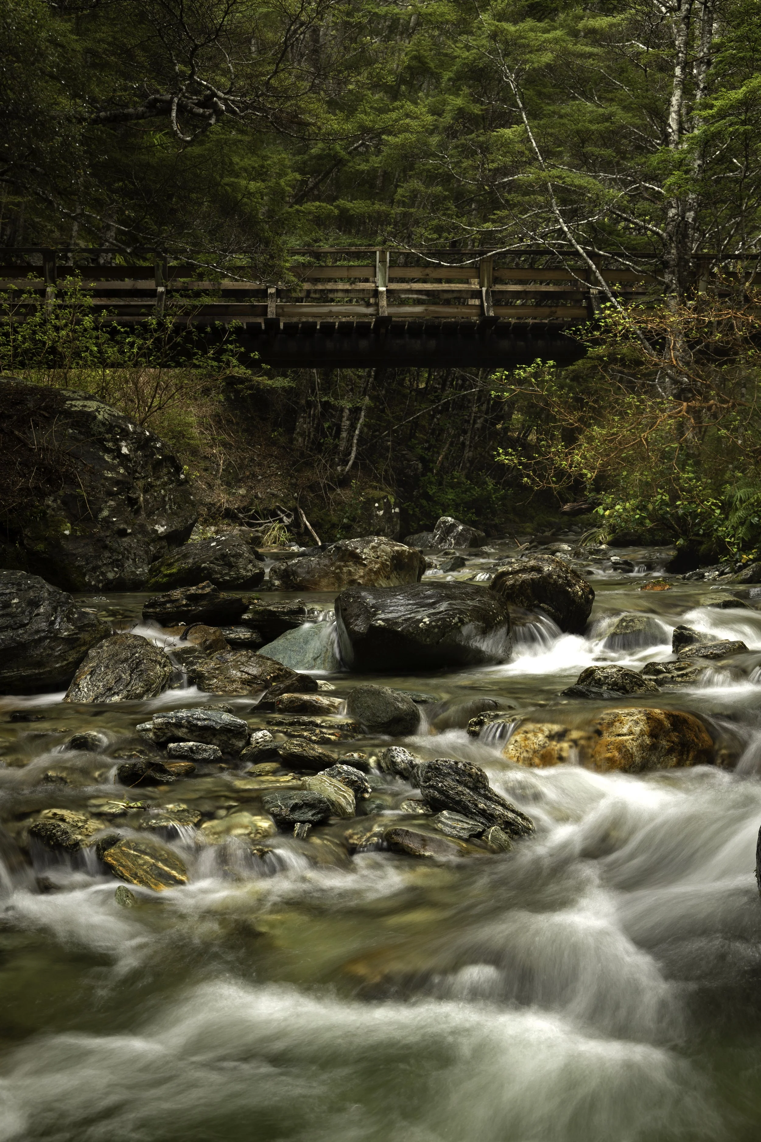 Use purchase code #D060 at checkout to identify your order