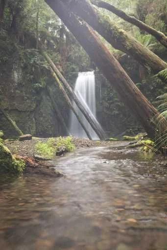 Use purchase code #049 at checkout to identify your order.