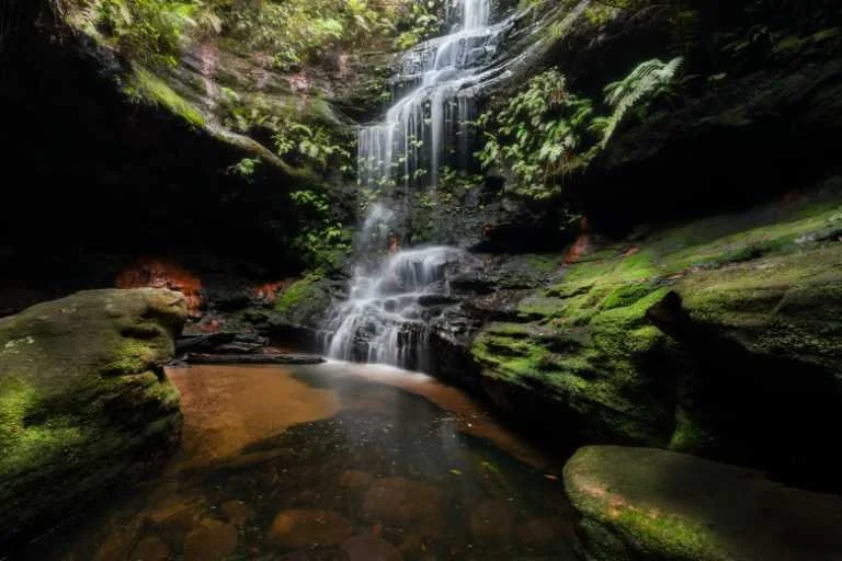 Use purchase code #057 at checkout to identify your order.