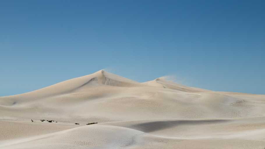 Use purchase code #B039 at checkout to identify your order