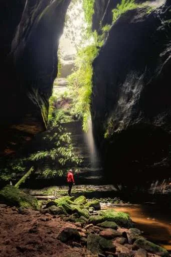 Use purchase code #002 at checkout to identify your order