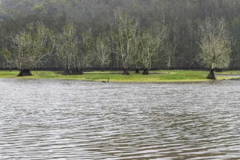 Use purchase code #086 at checkout to identify your order.