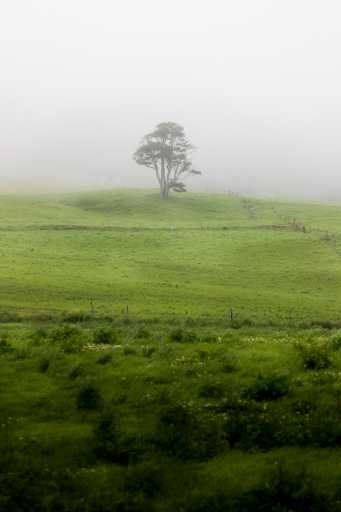 Use purchase code #001 at checkout to identify your order