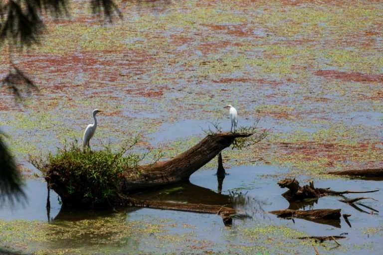 Use purchase code #B012 at checkout to identify your order