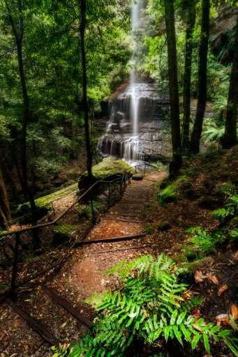 Use purchase code #067 at checkout to identify your order.