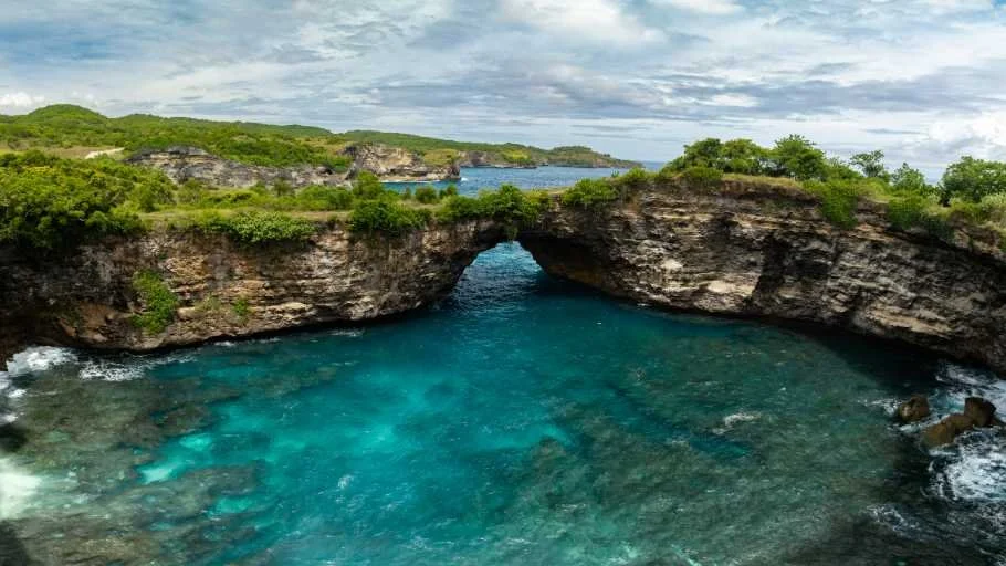 Use purchase code #F030 at checkout to identify your order