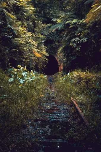 Use purchase code #145 at checkout to identify your order.