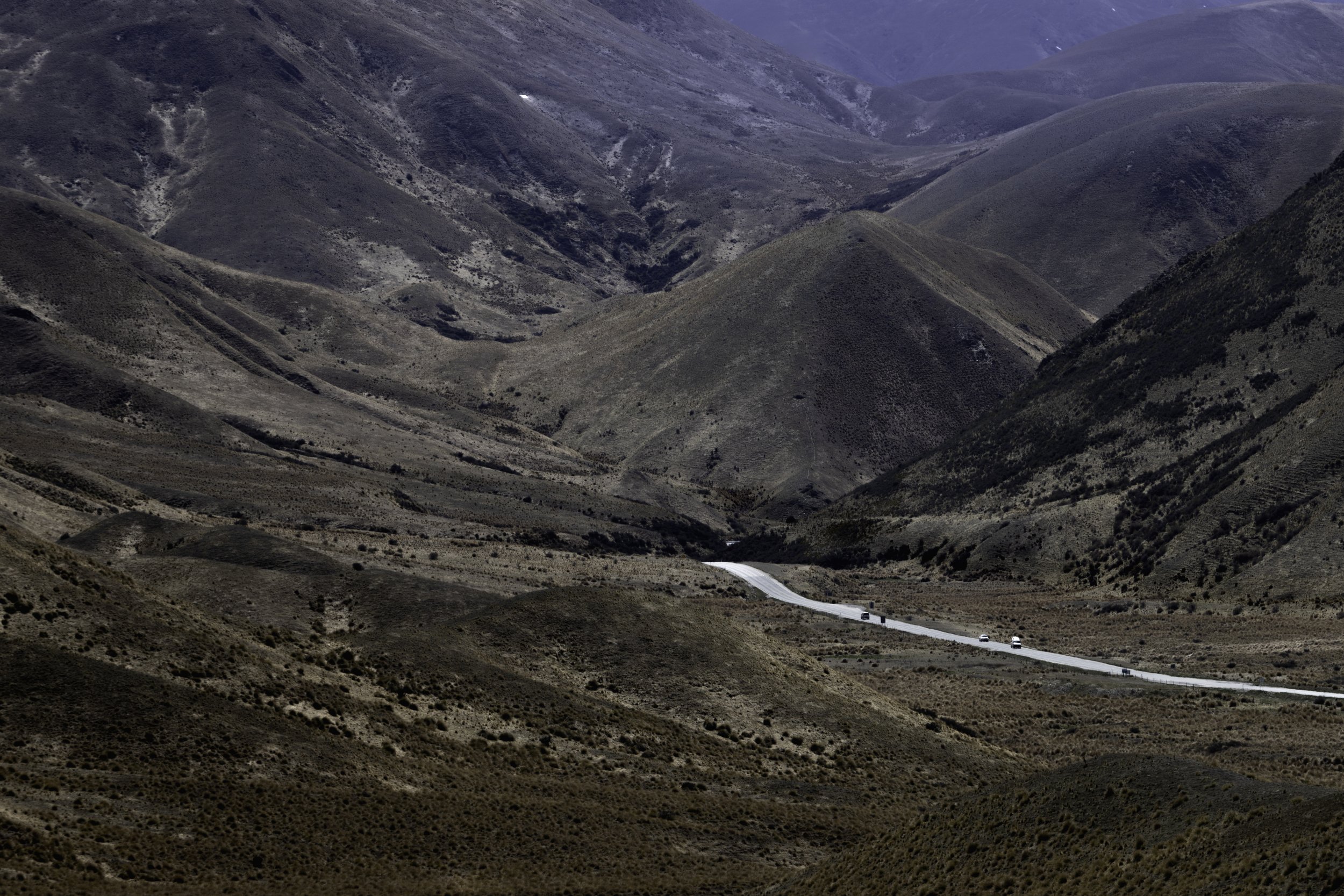 Use purchase code #D016 at checkout to identify your order