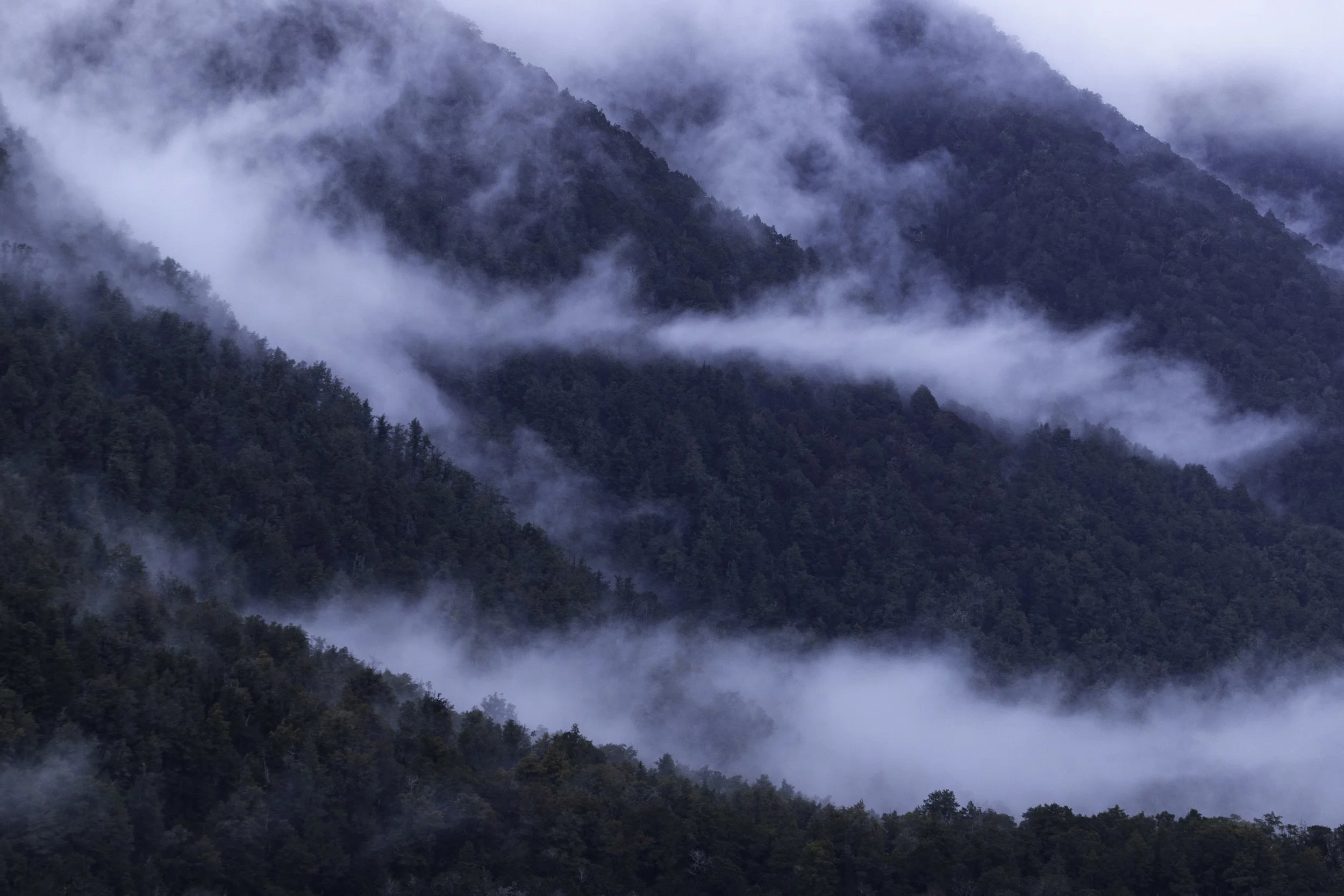 Use purchase code #D037 at checkout to identify your order