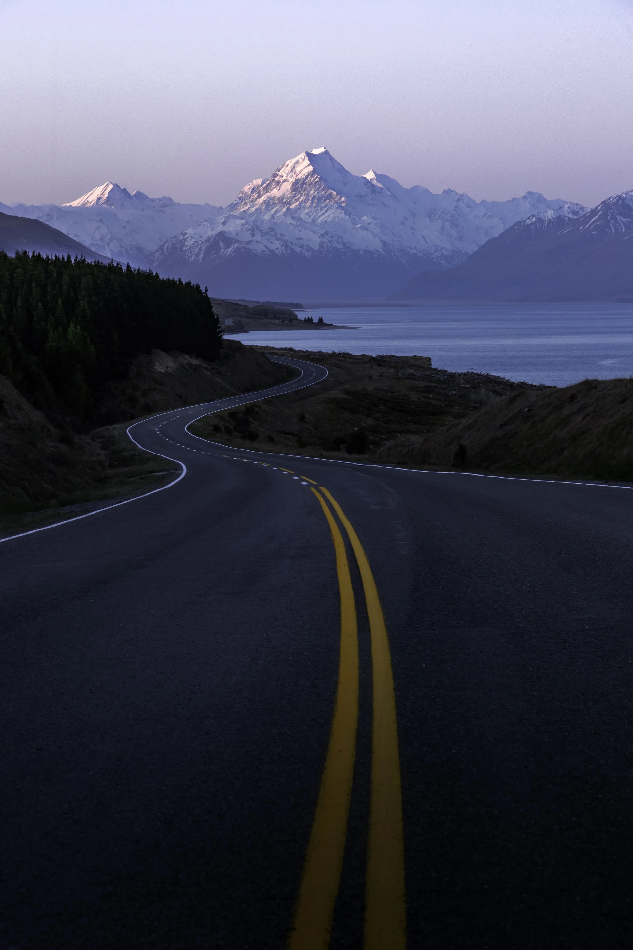 Use purchase code #D008 at checkout to identify your order