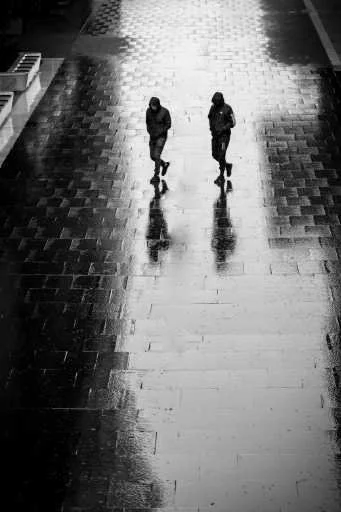 Use purchase code #C055 at checkout to identify your order