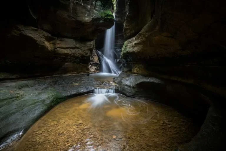 Use purchase code #126 at checkout to identify your order.