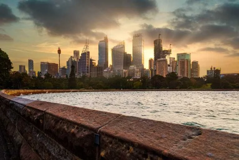 Use purchase code #C029 at checkout to identify your order