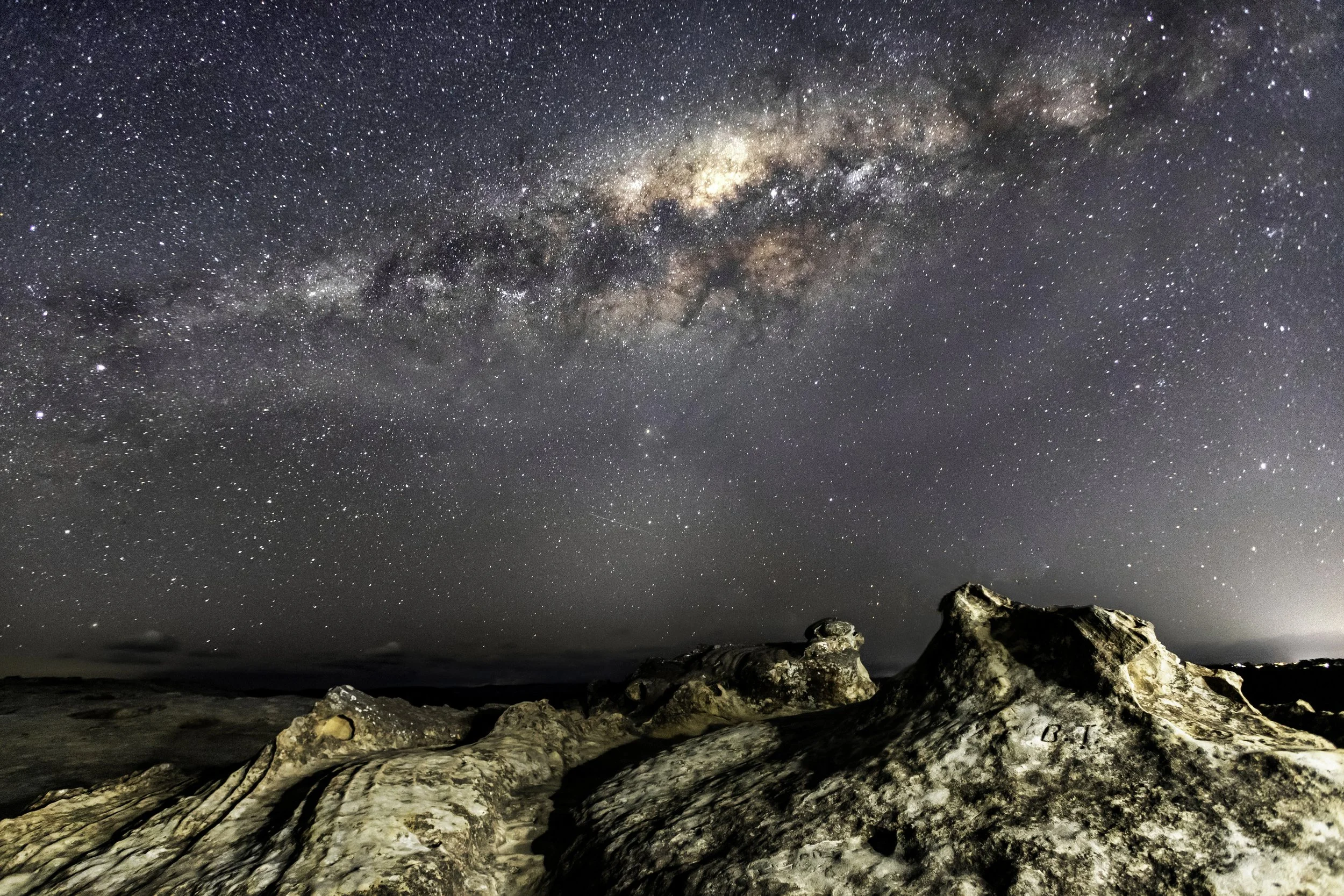 Use purchase code #A005 at checkout to identify your order