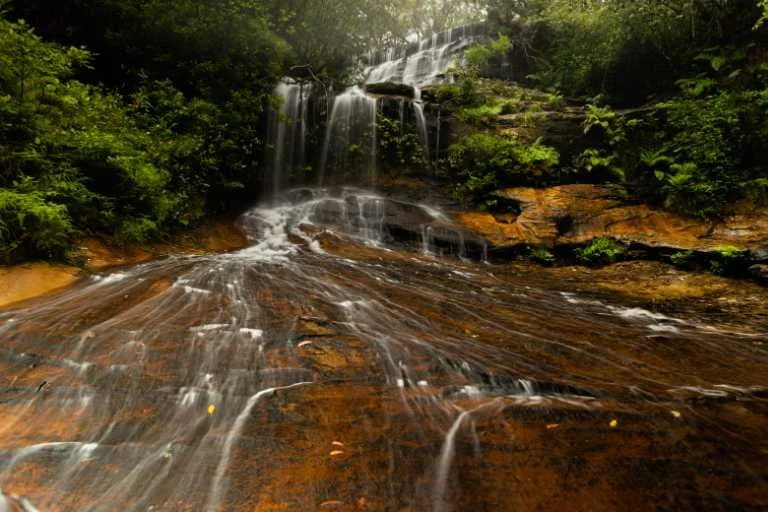 Use purchase code #130 at checkout to identify your order.