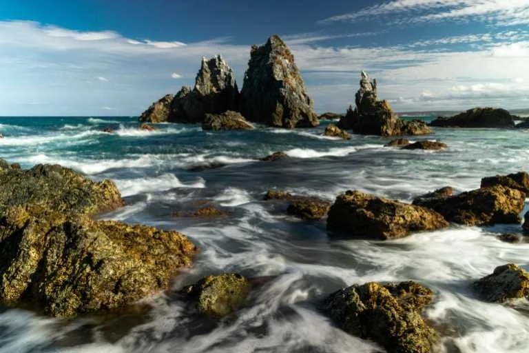 Use purchase code #B109 at checkout to identify your order