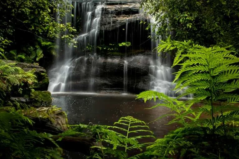 Use purchase code #131 at checkout to identify your order.