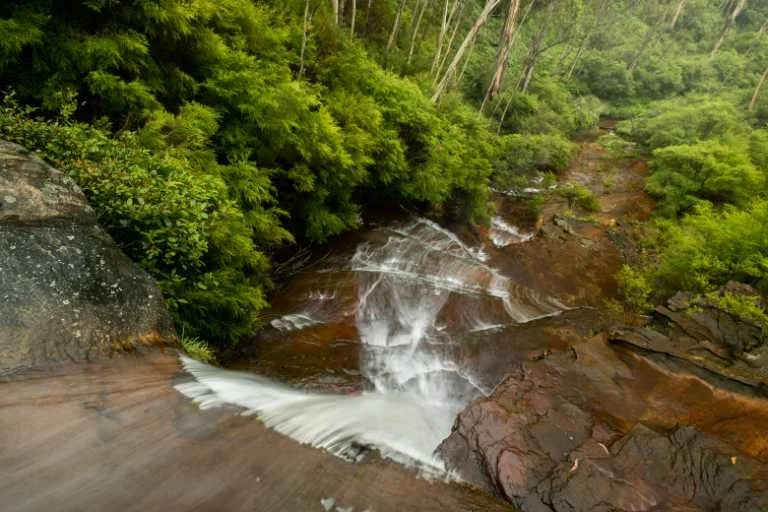 Use purchase code #158 at checkout to identify your order.