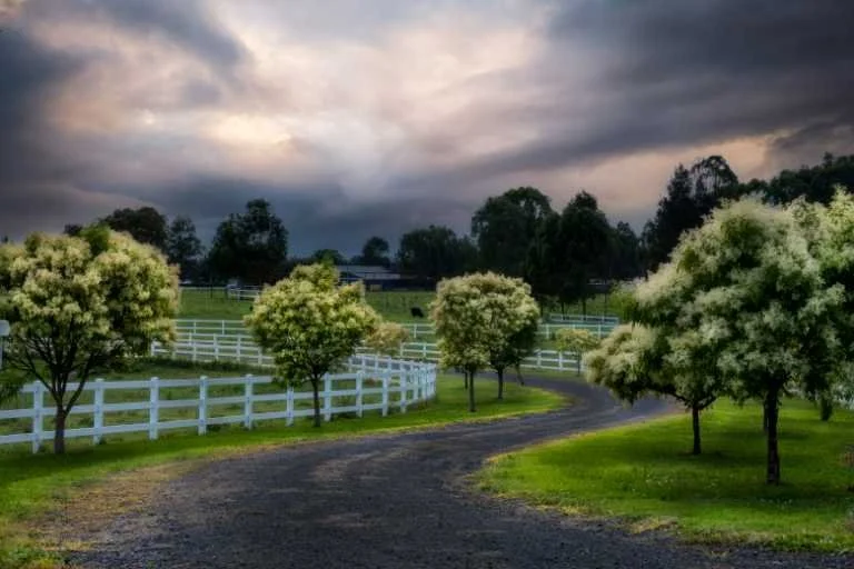 Use purchase code #B046 at checkout to identify your order