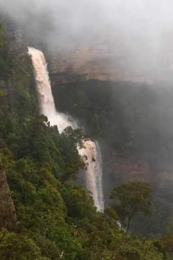 Use purchase code #164 at checkout to identify your order.