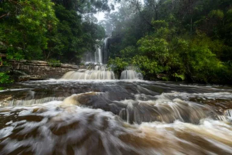 Use purchase code #111 at checkout to identify your order.