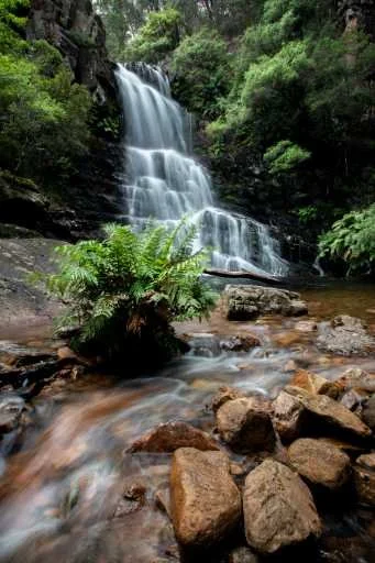 Use purchase code #097 at checkout to identify your order.