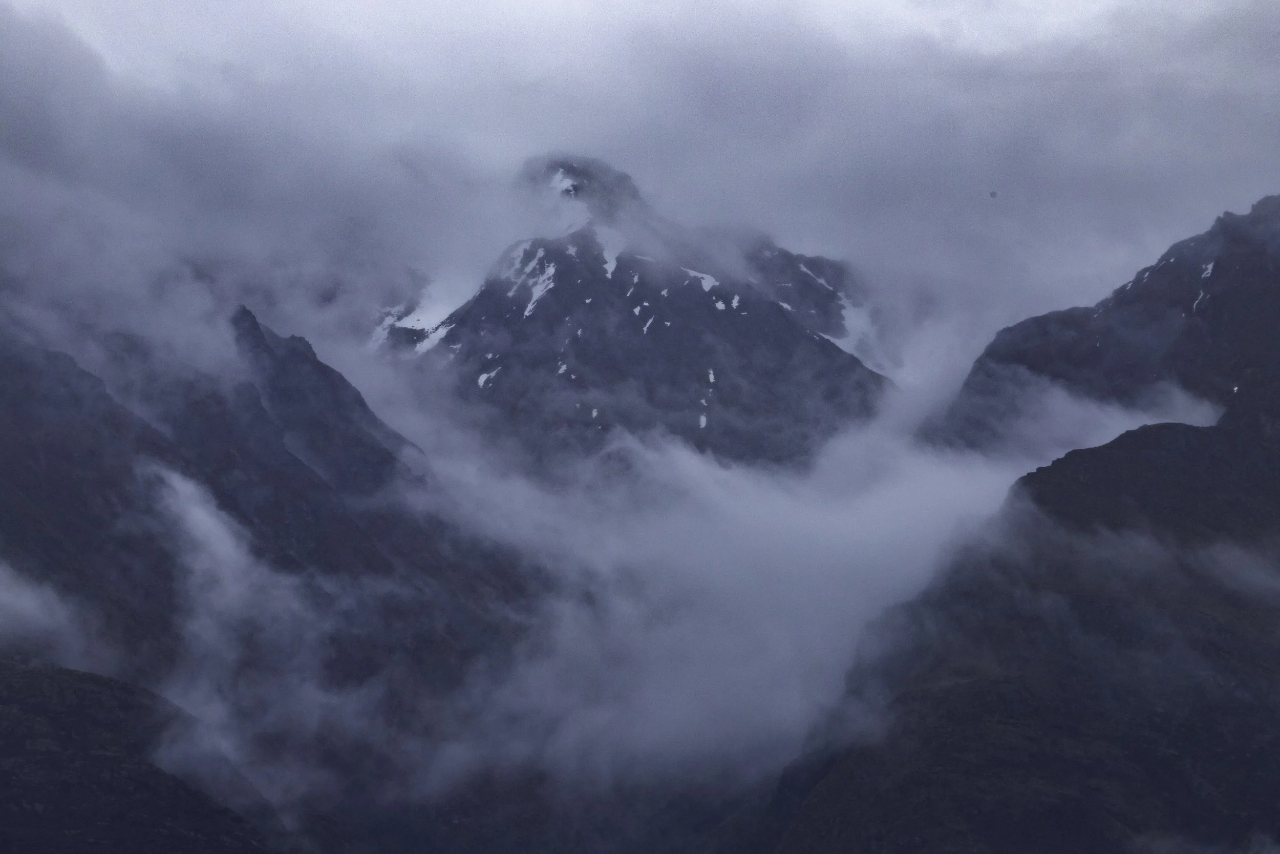 Use purchase code #D049 at checkout to identify your order