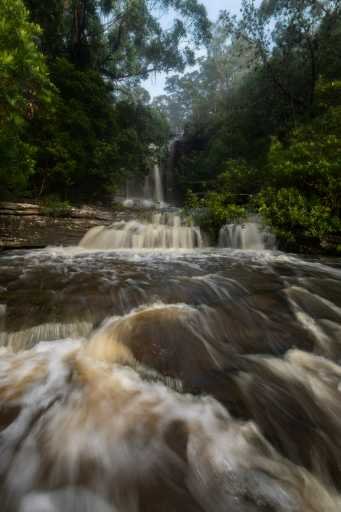 Use purchase code #112 at checkout to identify your order.