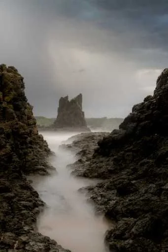 Use purchase code #B035 at checkout to identify your order